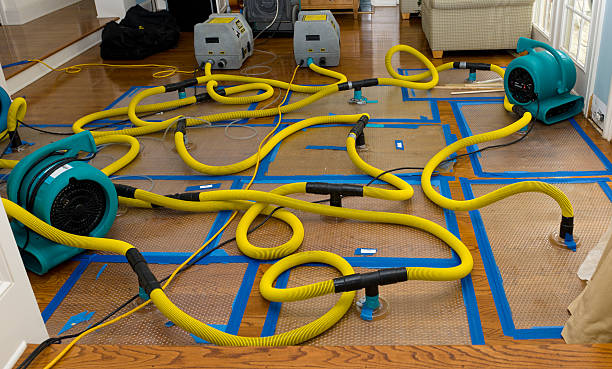 Professional Flood Damage Restoration technician working in Morrison, CO